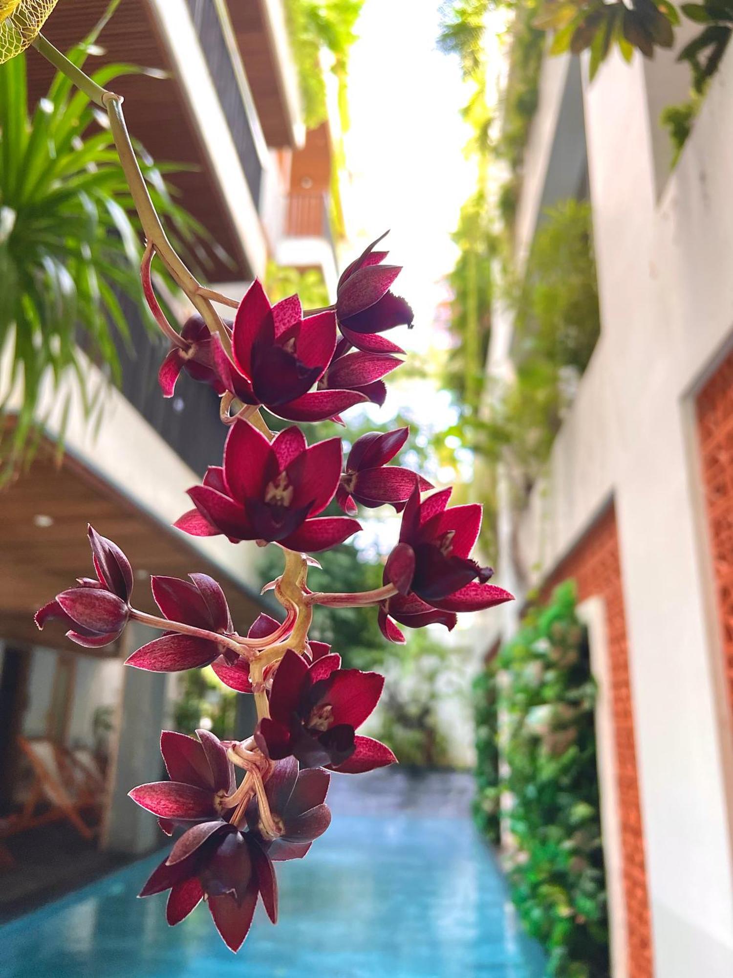 Hotel Ponte Boutique Đà Nẵng Extérieur photo