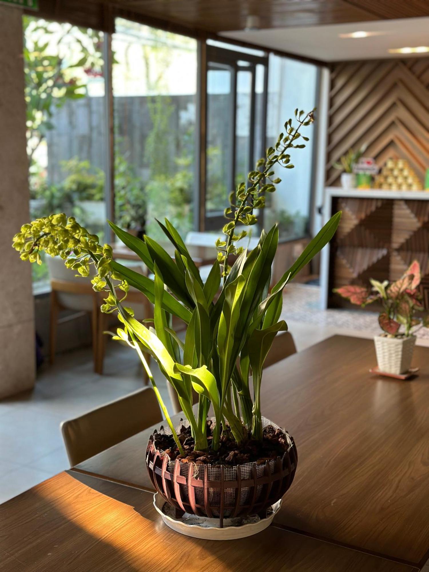 Hotel Ponte Boutique Đà Nẵng Extérieur photo